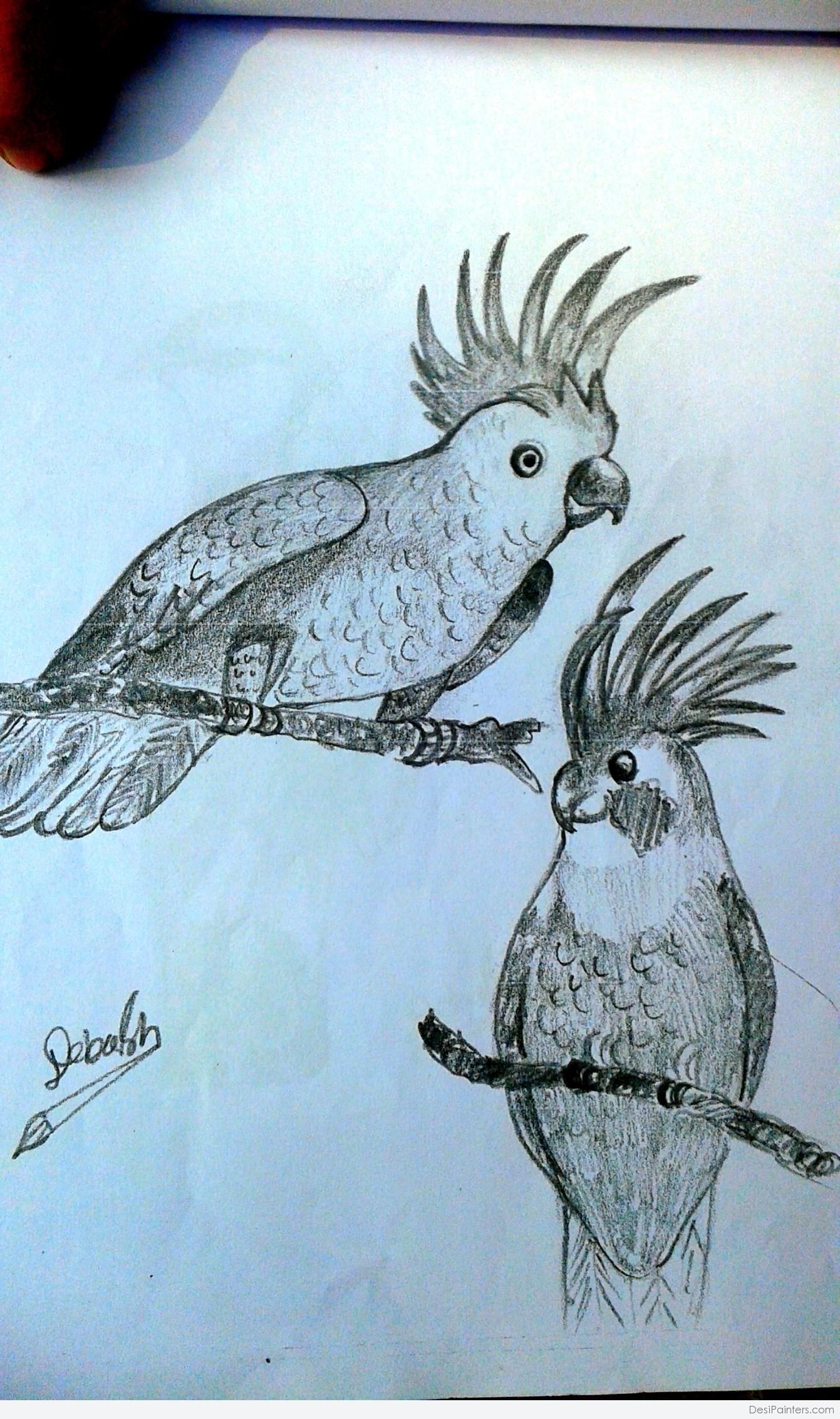 Parrot sketch at best price in Ludhiana by Artworks By Sourav | ID:  25975898797
