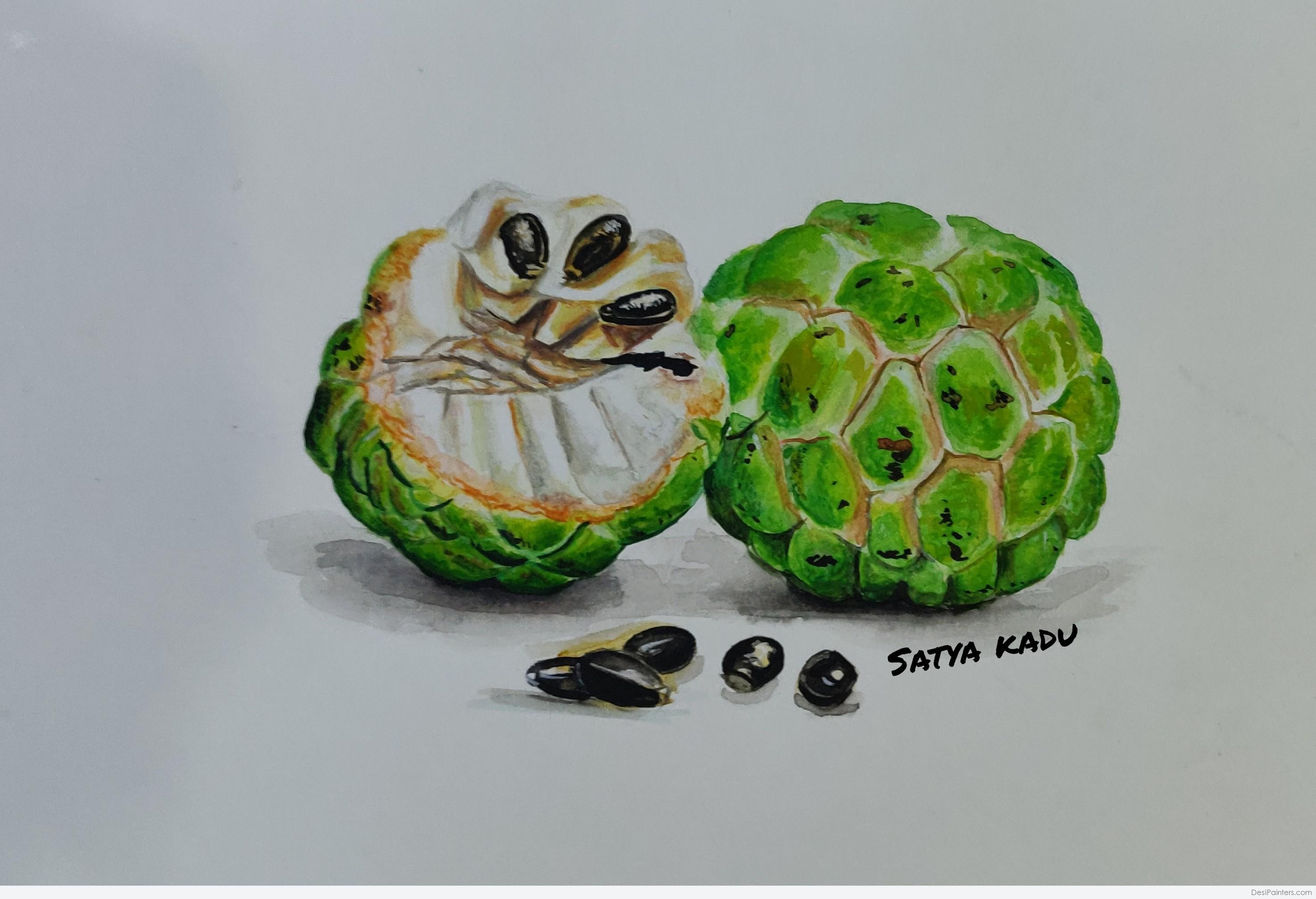 Drawing Fresh Organic Delicious Fruit Custard Apple Illustration PNG Images  | PSD Free Download - Pikbest