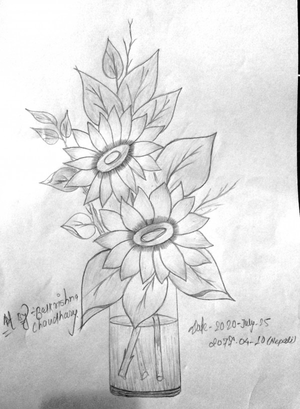 Lovely Flower Pencil Sketch