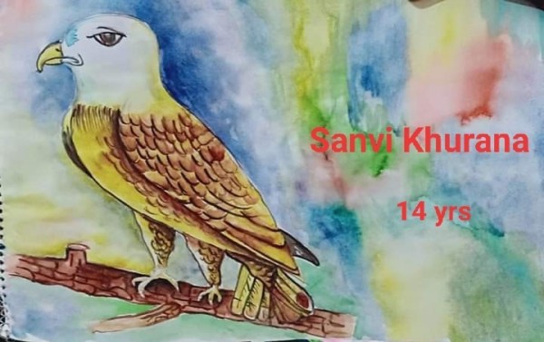 Watercolor painting of Bird by Sanvi Khurana - DesiPainters.com