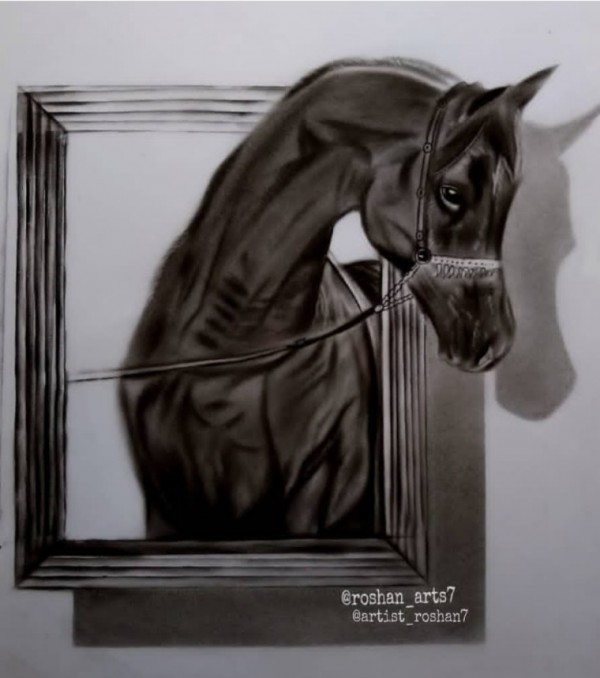 Horse Sketch by Roshan Arts